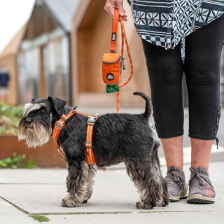 DOG Copenhagen Comfort Walk Air Harness